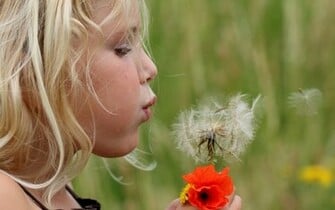 Girl Blowing On A Dandelion Flower Wallpaper And Image