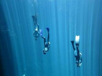 Apnea Diving Mexico Unikgo