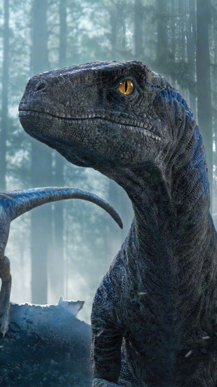 Velociraptor Jurassic World Dominion iPhone Phone 4k Wallpaper 6311g
