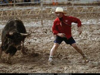 Bull Riding Background