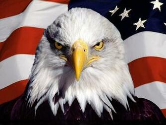 Ultra HD American Eagle Wallpaper F2yw863 4usky