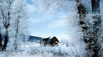 Nice Winter Day HD Wallpaper Wallpaperfx