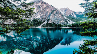 Forest Lake Wallpaper