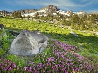Inspirational Spring Wallpaper For Your Desktop Tutorialchip