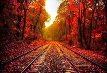 Beautiful Autumn Wallpaper On