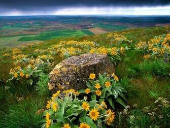 Country Wallpaper For Desktop HD Background Of Your