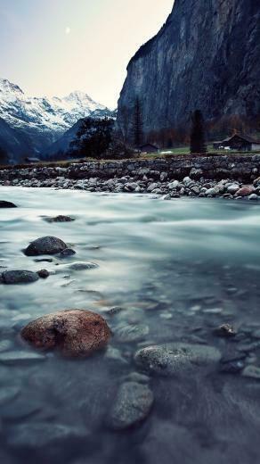 On A Chilly Winter Day With This Nature Inspired Wallpaper