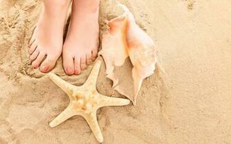 Summer Toes Females Legs Sand Shells Hot Weather