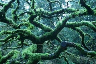 Full Background Image Jquery