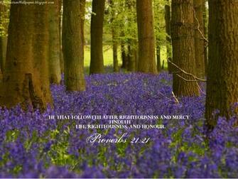 Verse Wallpaper John King James Version Bible