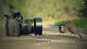 Portuguese And Photography Learn In Brazil