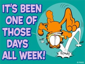 Funny Garfield Wallpaper