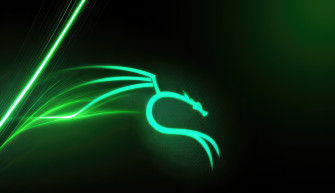Kali Linux Green 4k Wallpaper HD Computer