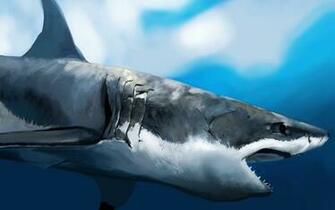 Shark Windows Theme Themepack Me
