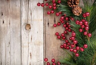 Branch Pine Cones Wood Timber Holly Decoration Christmas