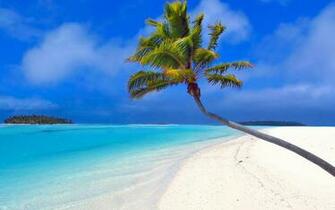 Wallpaper Beach Bermuda