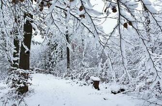 Cold Weather Background Wallpaper