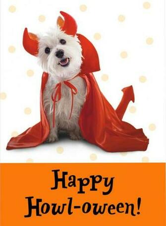 Halloween Dogs Wallpaper Dog