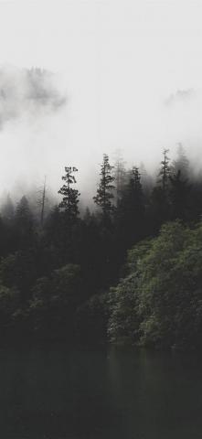Mountain Forest Lake Misty iPhone Wallpaper
