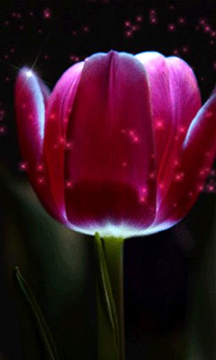 Animated Mobile Phone Wallpaper Gif For Samsung Moving 3d Screensaver