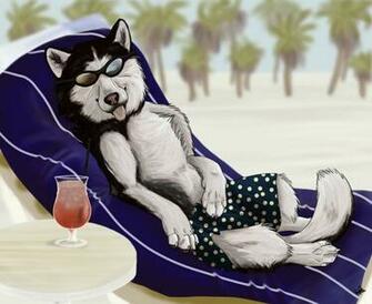 Snow Dogs By Spiritwollf