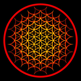 Flower Of Life Wallpaper