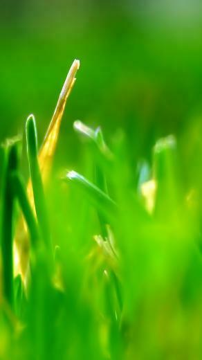 Samsung Galaxy S3 Wallpaper HD High Definition