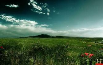 Amazing Nature Photography Wallpaper