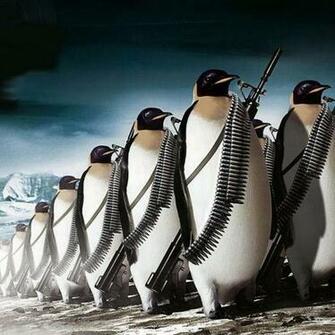 Funny iPad Wallpaper HD 9to5wallpaper