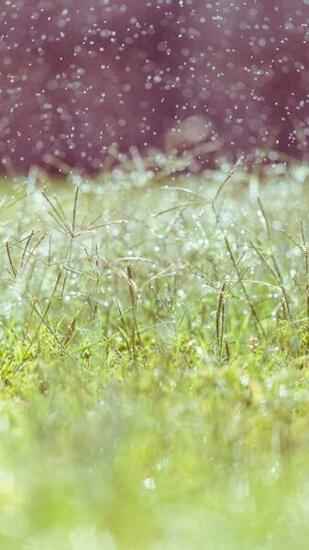 Wallpaper Meadows 5k 4k 8k Wildflowers Blur Nature