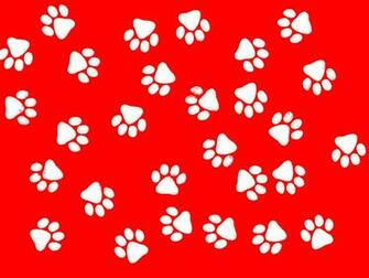 Cat Paw Print Wallpaper