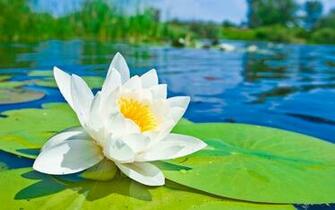 More Beautiful Lovely Sunny Day Wallpaper Flgrx Graphics