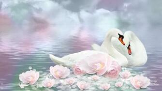 Swan HD Wallpaper Beautiful Pictures Amp Image