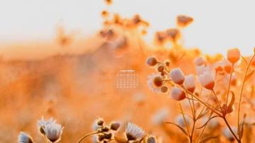 September Wallpaper Desktop Phone Calendars
