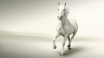 White Background Wallpaper HD