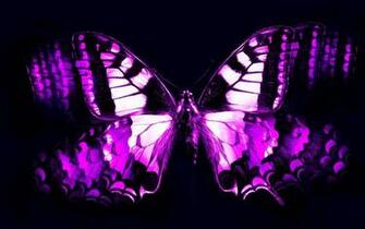 Purple Butterfly Wallpaper