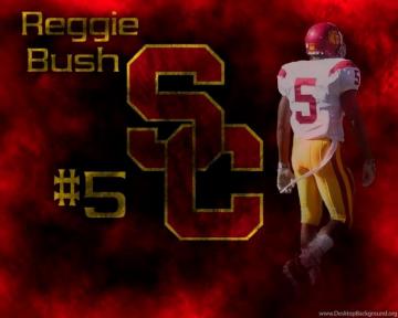 The Gallery For Reggie Bush Usc Wallpaper Desktop Background