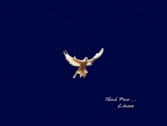 Linux Background Desktop Fly Over The Wallpaper