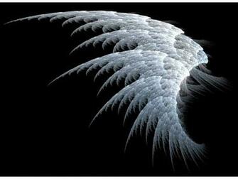 White Angels Cool HD Wallpaper Hivewallpaper