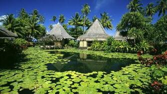 Tahiti Island Wallpaper HD Photos Beautiful Tourism Attractions