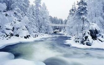 Beautiful Winter Weather S Beauty