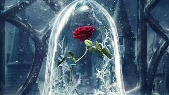 Wallpaper Beauty And The Beast Rose Red Best Movies