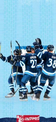 Wallpaper Manitoba Moose