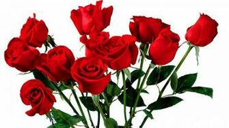 Random Great Flowers Wallpaper Desktop Background Full Screen