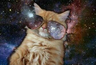 Awesome Cats In Space Wallpaper Caveman Circus