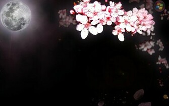 Sakura Background