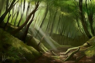 Enchanted Forest Picture Wallpaper Cool