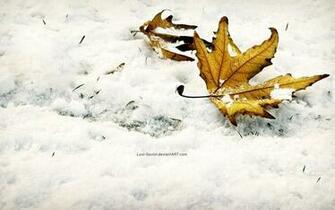 Winter Fall