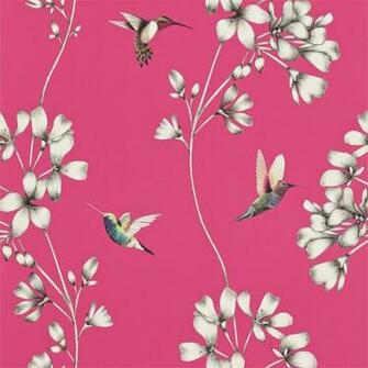 Shop Amazilia Annandale Wallpaper