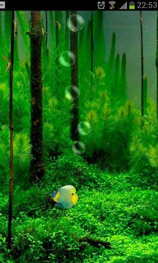 Fish Tank 3d Live Wallpaper Screenshot